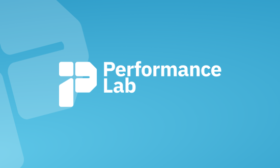 افزونه Performance Lab